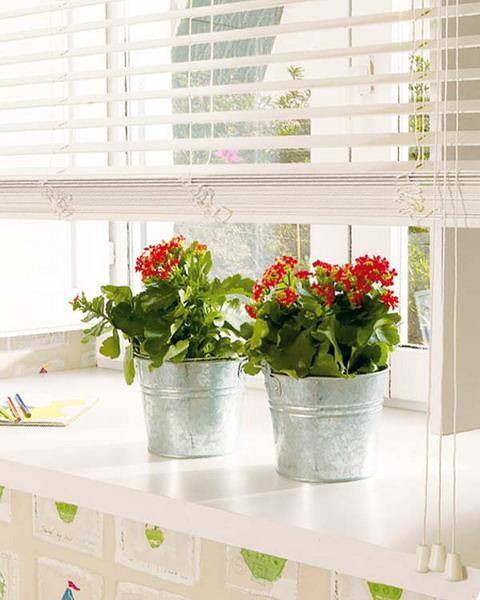 Если у вас белая кухня, то настоятельно рекомендуем декорировать окно не аксессуарами, а именно растениями