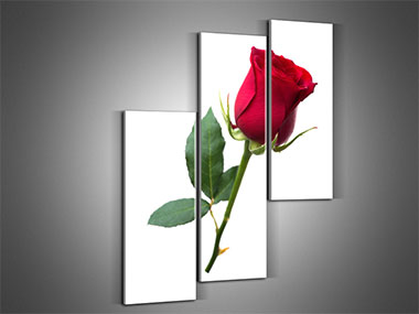 Среди цветочных картин для кухни наиболее популярны изображения роз