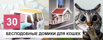 30 Домиков для кошек, которые можно сделать самостоятельно