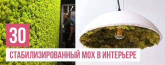 Стабилизированный мох - 30 ярких примеров внедрения в интерьер