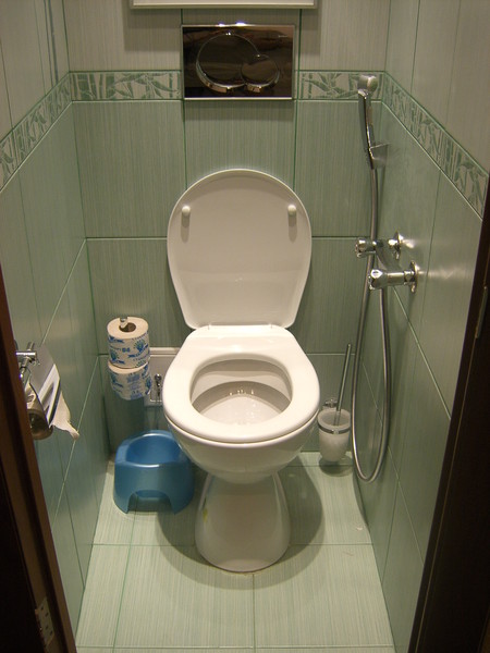 Идеи для туалета в квартире