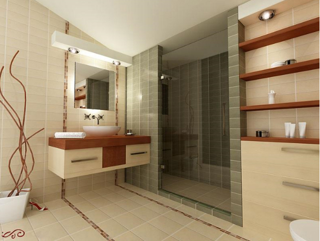 project-bathroom-constructions1