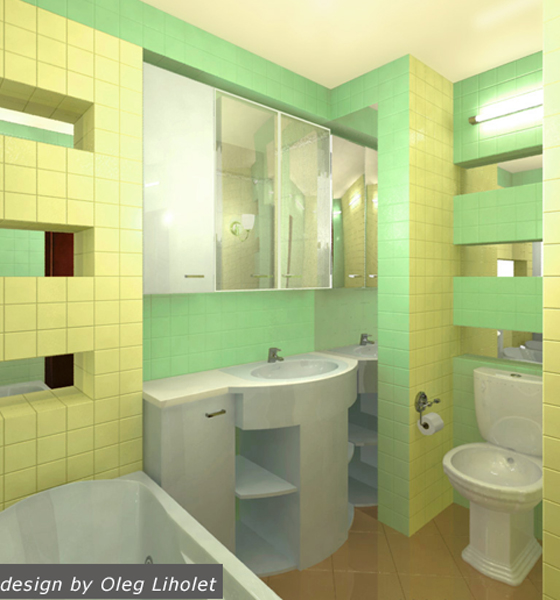 project-bathroom-constructions3