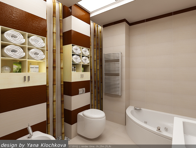 project-bathroom-constructions6