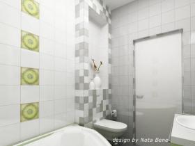 project-bathroom-constructions15