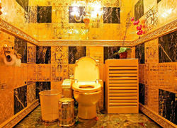 Золотой туалет, Китай