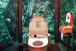 Туалет-аквариум, Япония