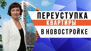 Переуступка квартиры в новостройке. Переуступка ДДУ риски. Недвижимость СПб