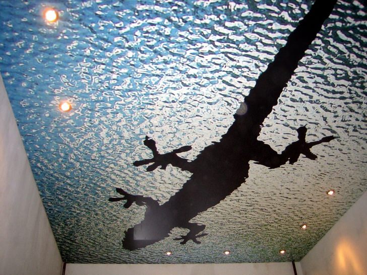 Натяжные потолки с фотопечатью имитируют водную поверхность. Одноярусные потолки оснащены точечные светодиодным освещением.