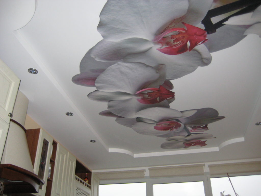 Белый матовый натяжной потолок на кухне с орхидеями