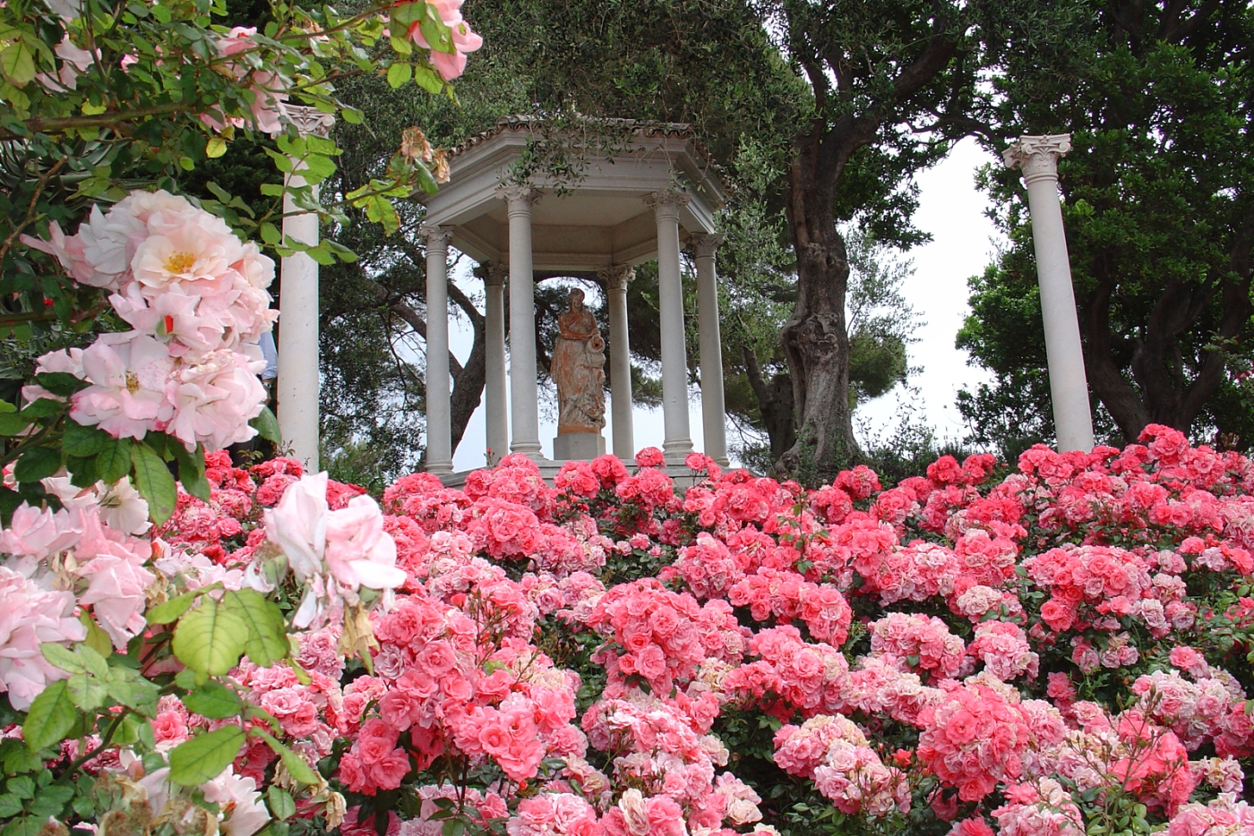 Королевский Ботанический сад сад розарий