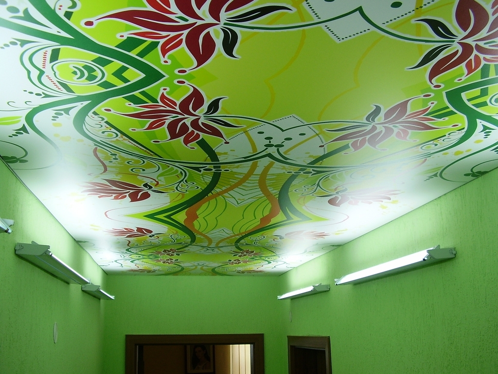 Натяжной зеленый потолок с фотопечатью