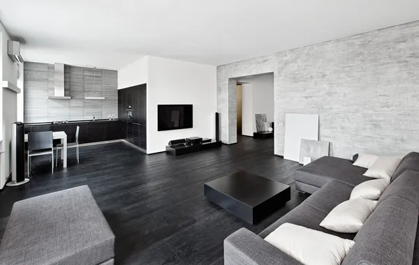 Современный интерьер гостиной стиля минимализма в черно-белых тонах настраивает — стоковое фото