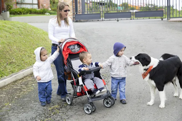 Прекрасные матери со своими детьми и собака — стоковое фото