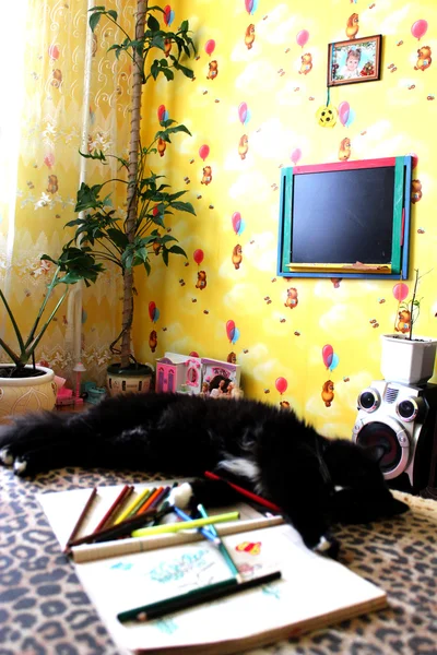 Черный устал кошка, лежа на диване после жеребьевки — стоковое фото