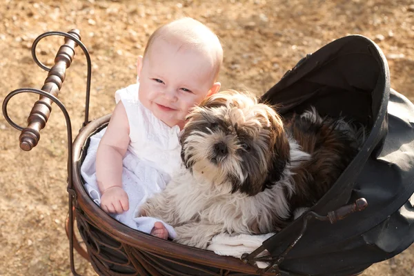Ребенок и щенок в винтажные коляски — стоковое фото