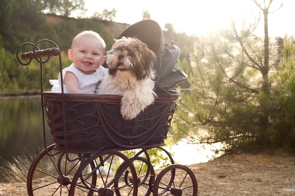 Ребенок и маленький щенок в apram — стоковое фото