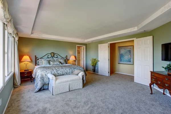 Удивительные спальня с зеленым интерьером и два окна — стоковое фото