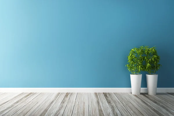 Белый цветок сюжет и голубой стене интерьера — стоковое фото