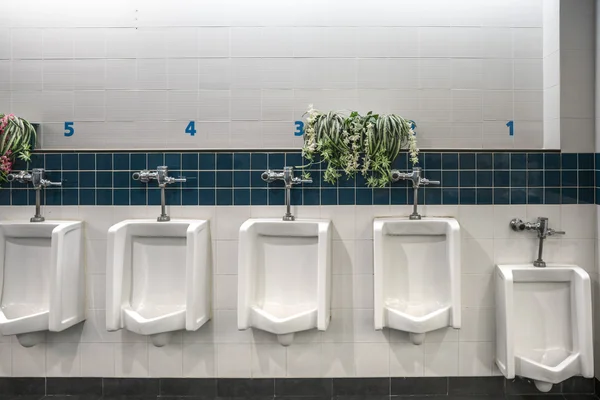 Крупным планом плитка для стен в туалете человек с видом на Туалет, Урин — стоковое фото