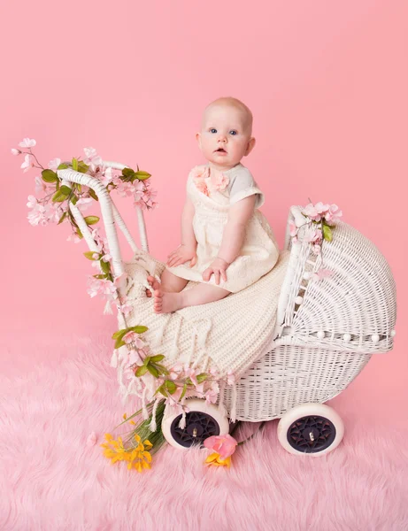 Ребенок, розовая вишня, в коляске — стоковое фото