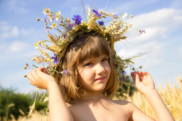 Поле пшеницы, васильки, уши, Голубое небо, лето, девочка 4-6 лет — стоковое фото