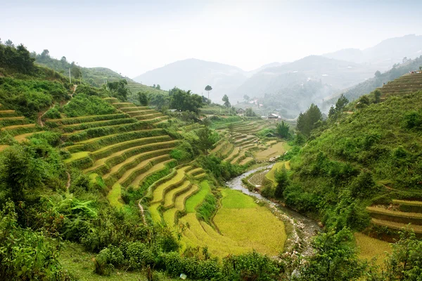 Рисовые поля террасами му Cang чай, Yenbai, Вьетнам. Вьетнам пейзажи — стоковое фото