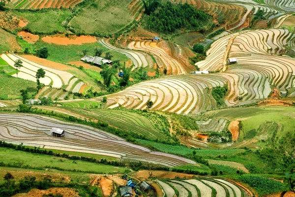 Рисовые поля террасами и воды му Cang чай, Yenbai, Вьетнам. Рисовые поля подготовить урожай на северо-западе Vietnam.Vietnam пейзажи — стоковое фото