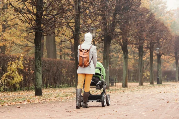 Мать, прогулки в парке с коляской — стоковое фото