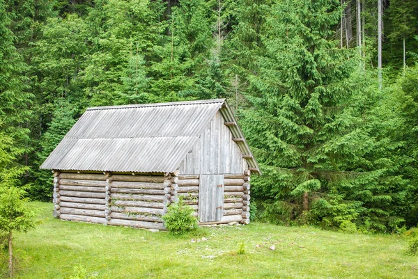 Домик в лесу — стоковое фото