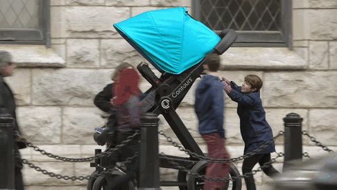 adult-stroller2